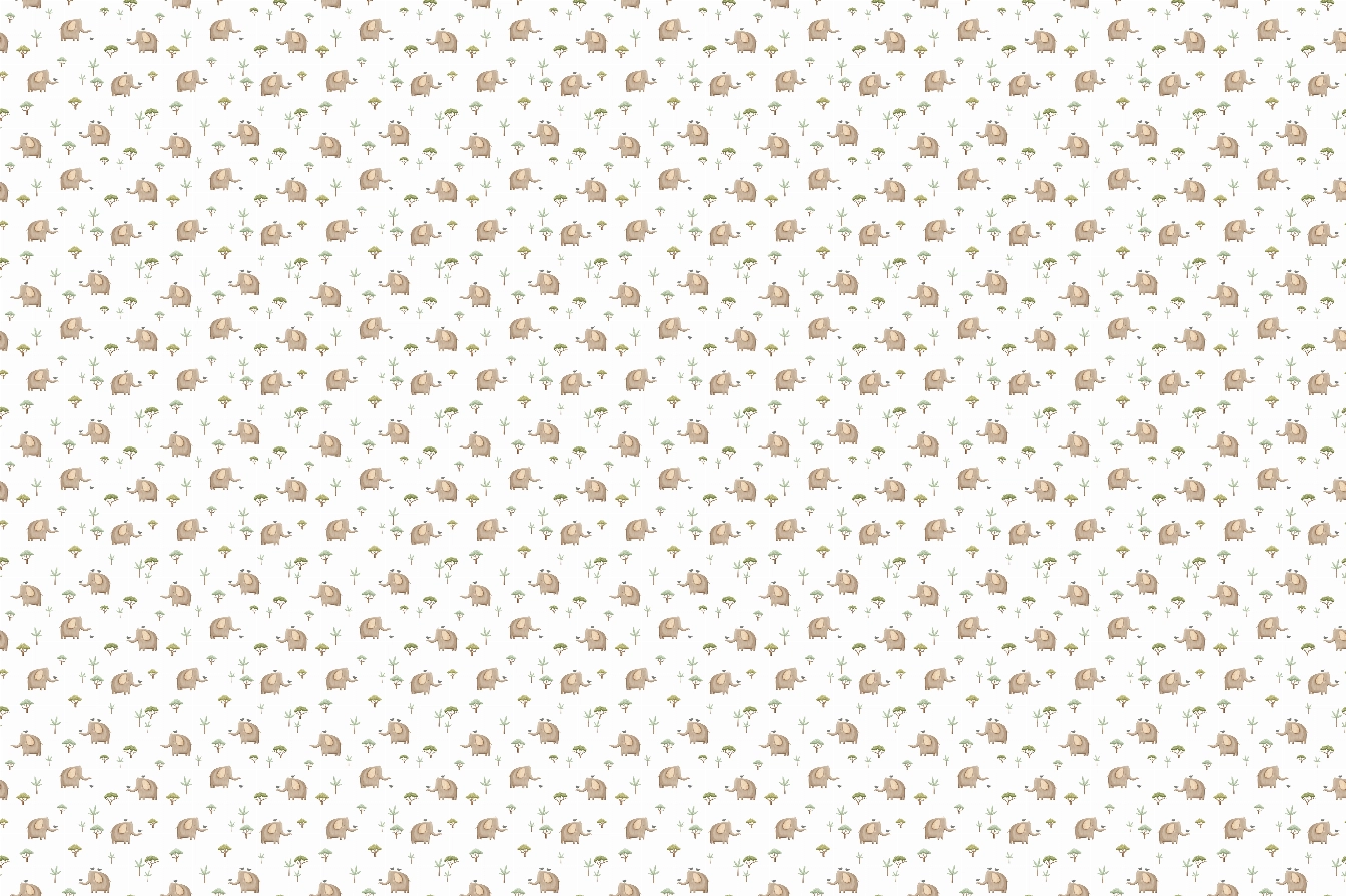 Safari08 460