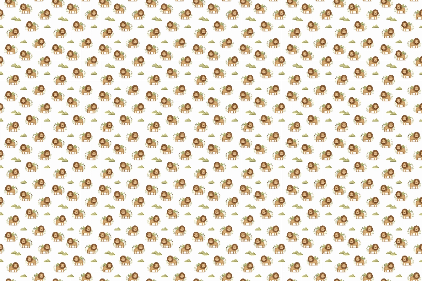 safari13 474