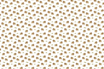 safari13 474